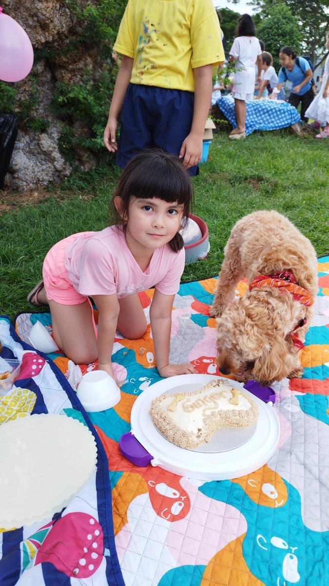 How to Make Healthy Cakes for Dogs A Delicious Recipe GuiltFreeFoodSG